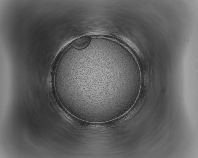 X0000116631356200912181316