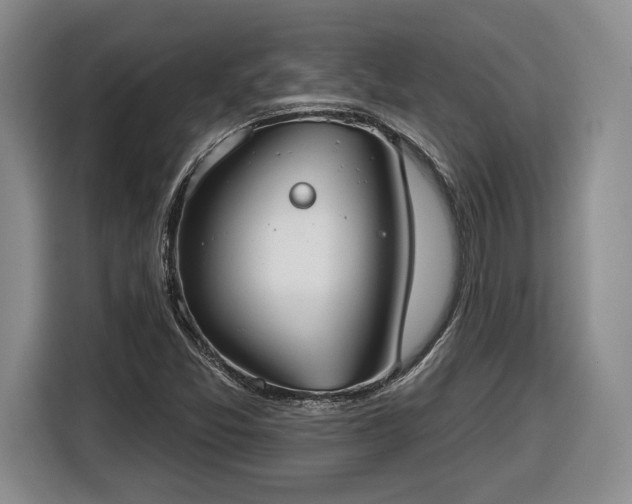 X0000116631357200912181316