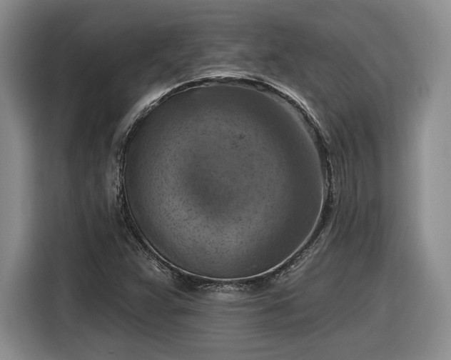 X0000116631359200912181316