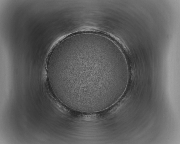 X0000116631363200912181316