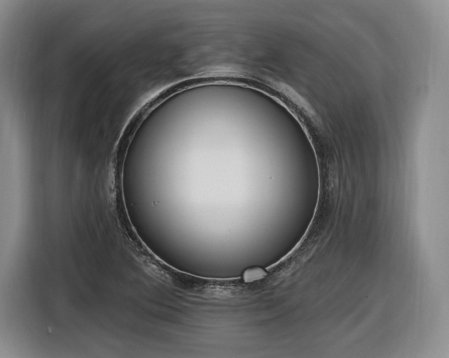 X0000116631364200912181316