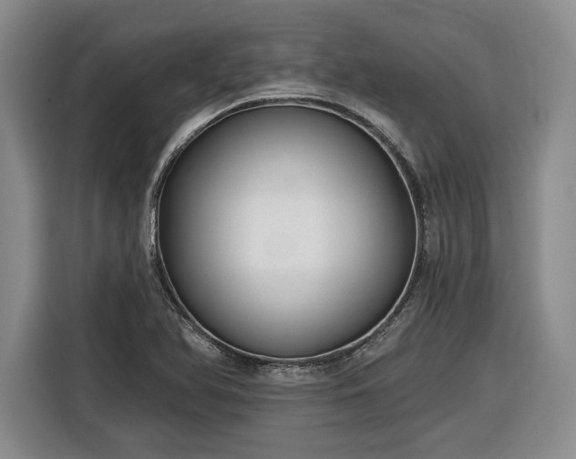 X0000116631366200912181316