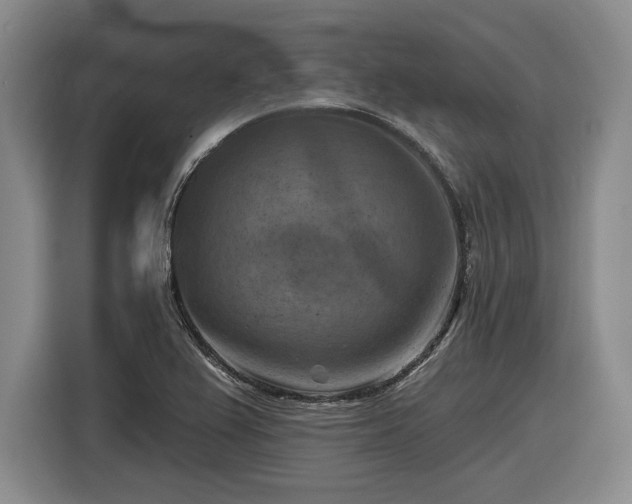 X0000116631367200912181316