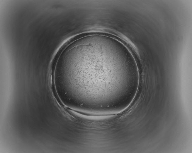 X0000116631368200912181316