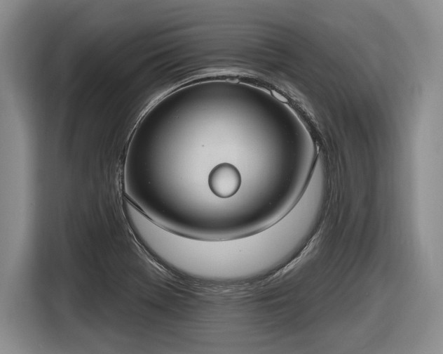 X0000116631369200912181316