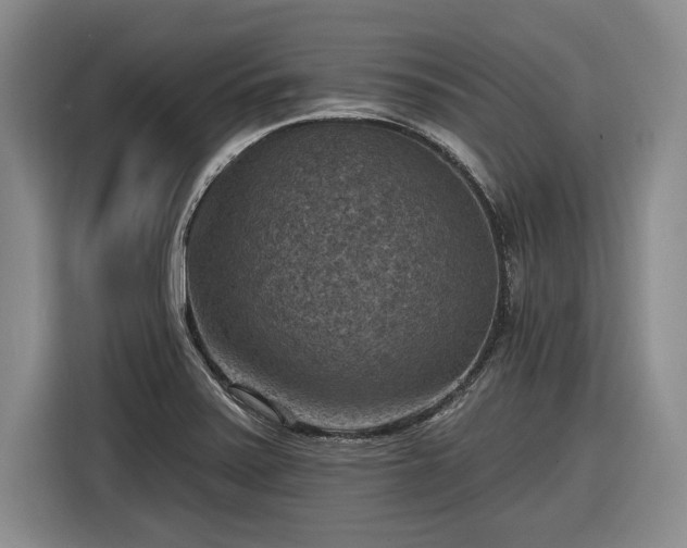 X0000116631371200912181316