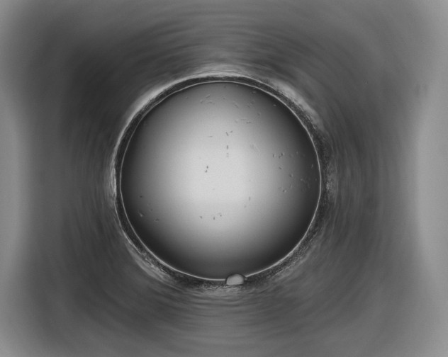 X0000116631372200912181316