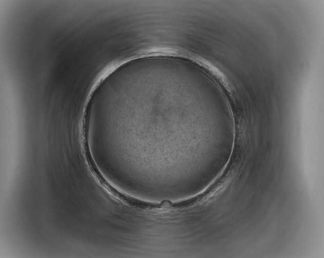 X0000116631373200912181316