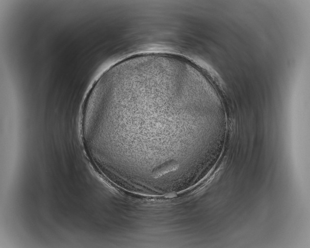 X0000116631374200912181316