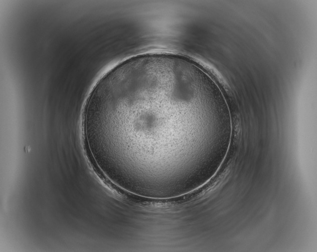 X0000116631375200912181316