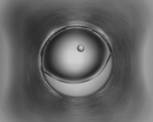 X0000116631376200912181316