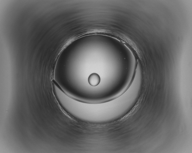 X0000116631377200912181316