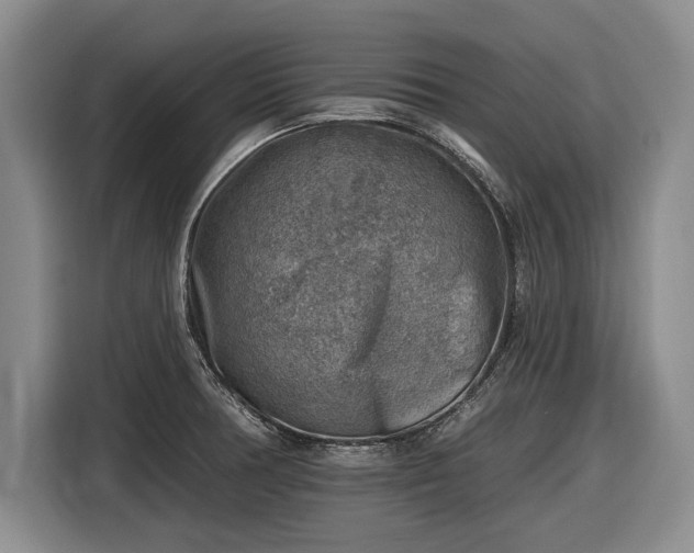 X0000116631378200912181316