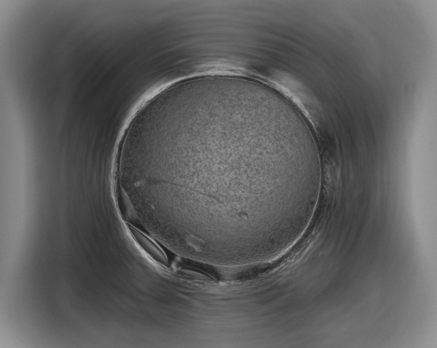 X0000116631379200912181316