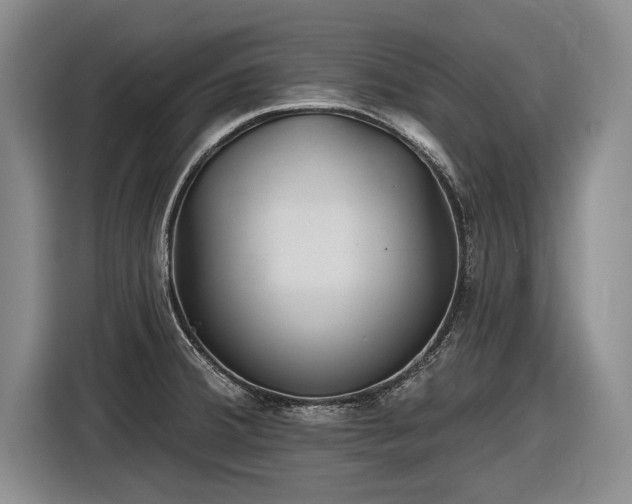 X0000116631380200912181316