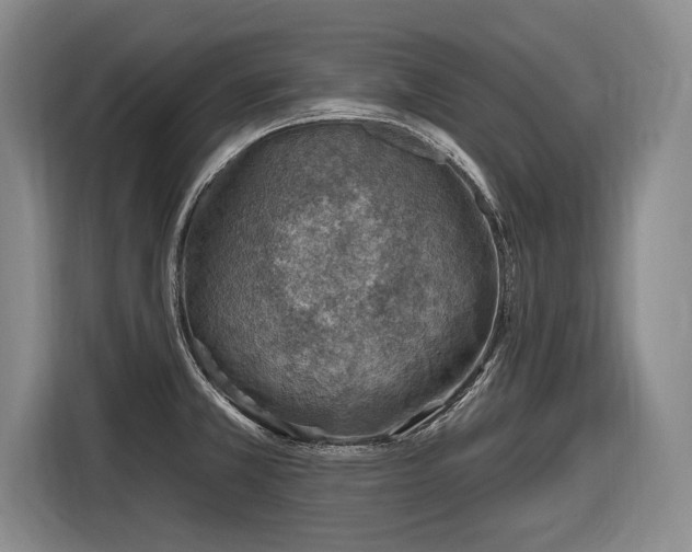 X0000116631381200912181316