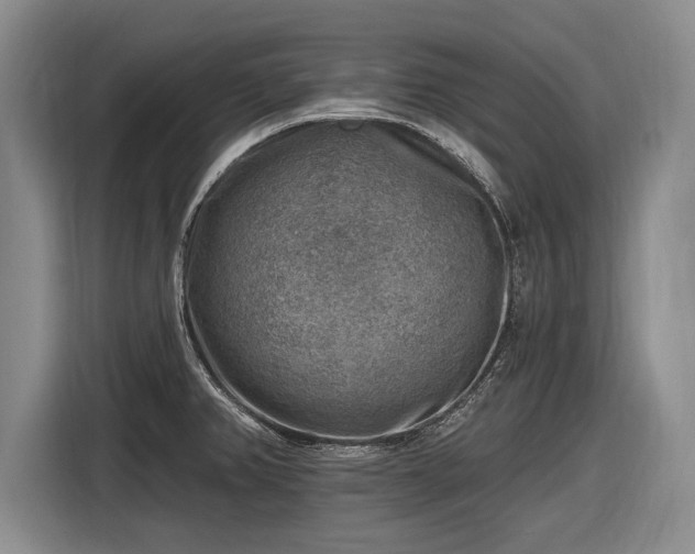 X0000116631382200912181316