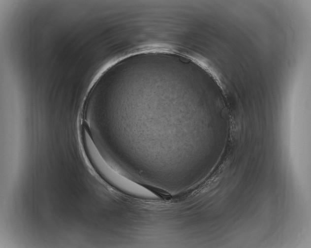 X0000116631383200912181316