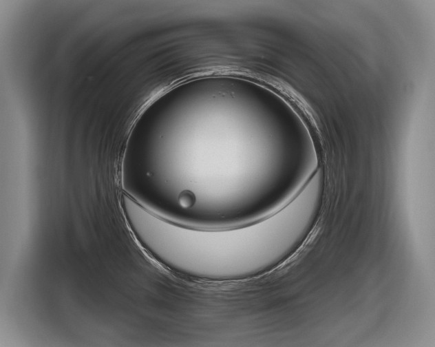 X0000116631385200912181316