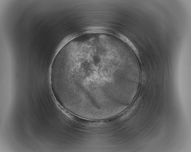 X0000116631386200912181316