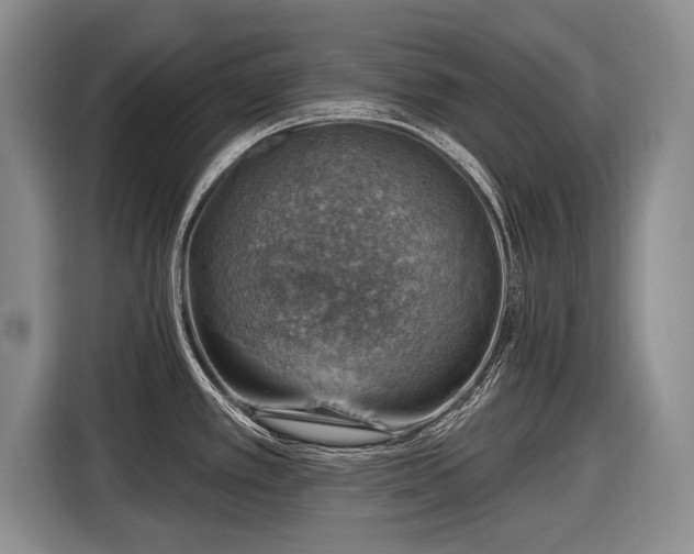 X0000116631389200912181316