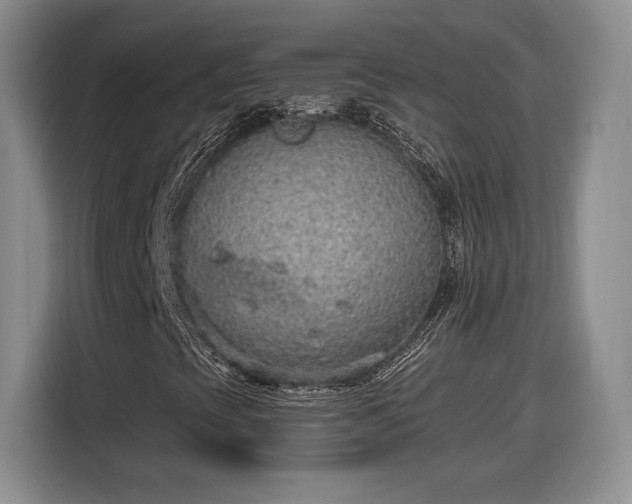 X0000116631393200912181315