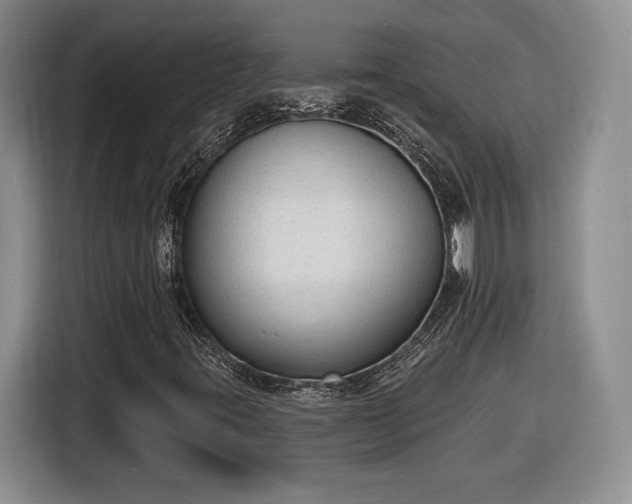 X0000116631395200912181315