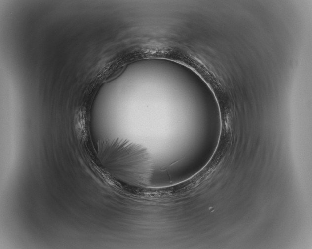 X0000116631396200912181315