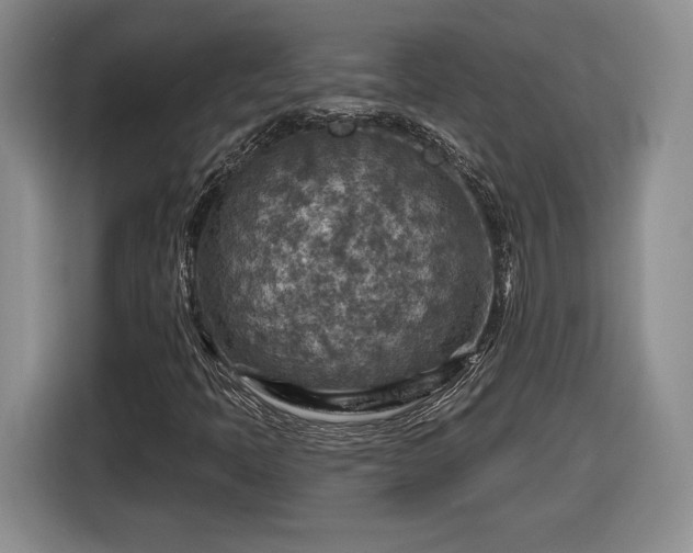 X0000116631397200912181315