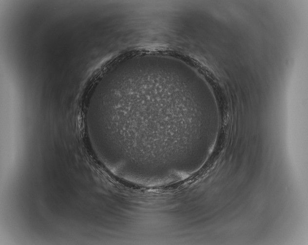 X0000116631398200912181315