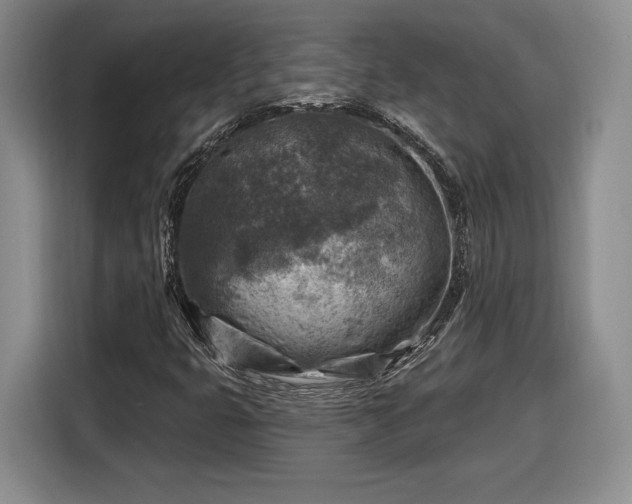 X0000116631399200912181315