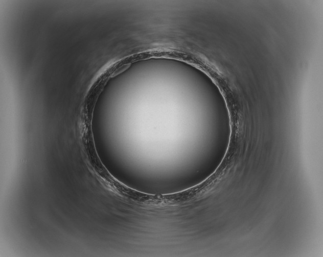 X0000116631400200912181315