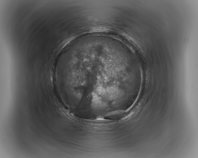 X0000116631401200912181315