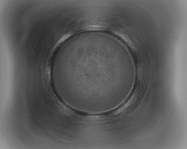 X0000116631402200912181315