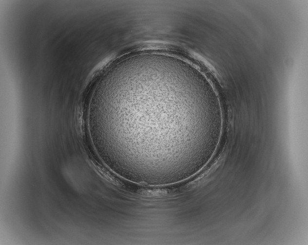 X0000116631403200912181315