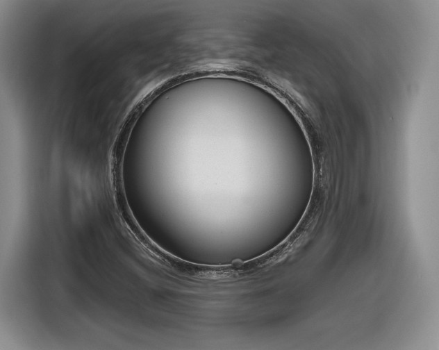 X0000116631404200912181316