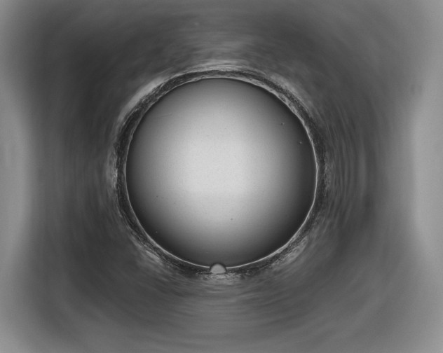 X0000116631406200912181316