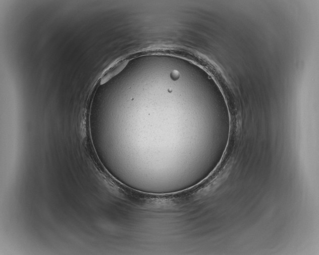 X0000116631409200912181316