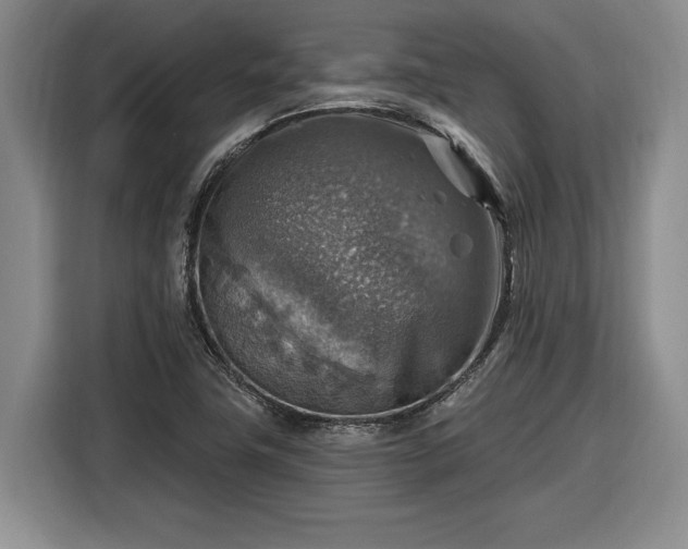 X0000116631411200912181316