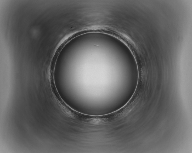 X0000116631412200912181316