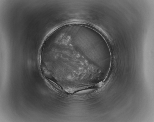 X0000116631413200912181316