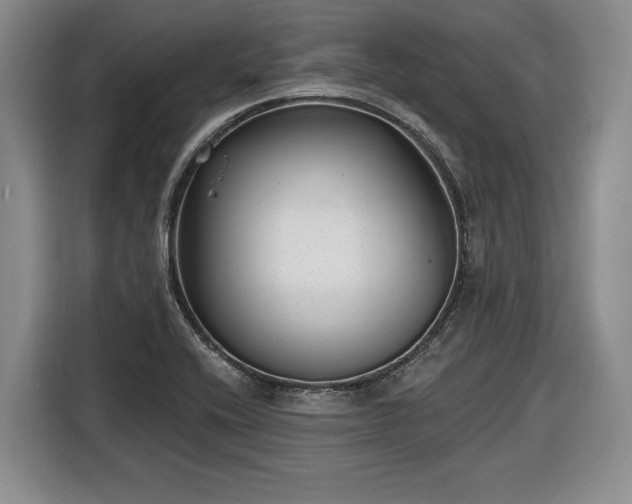 X0000116631416200912181316