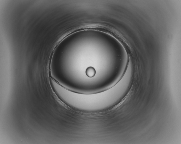 X0000116631417200912181316