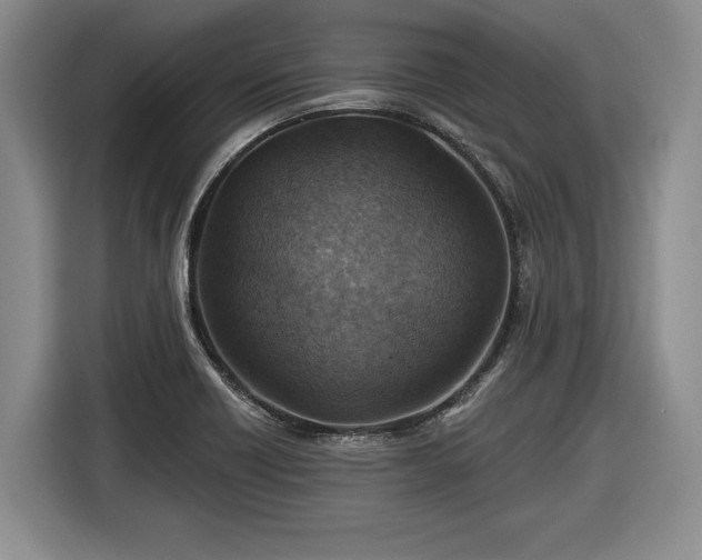 X0000116631418200912181316