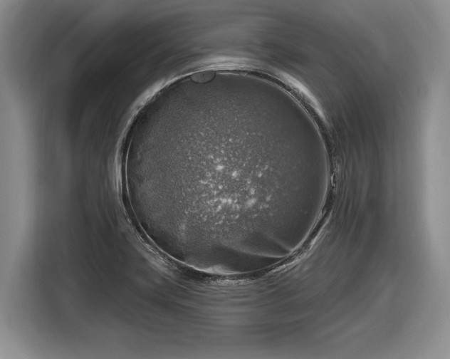 X0000116631419200912181316