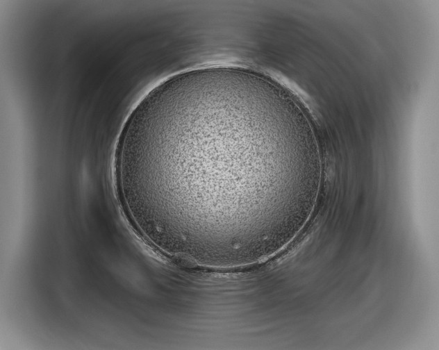 X0000116631423200912181316