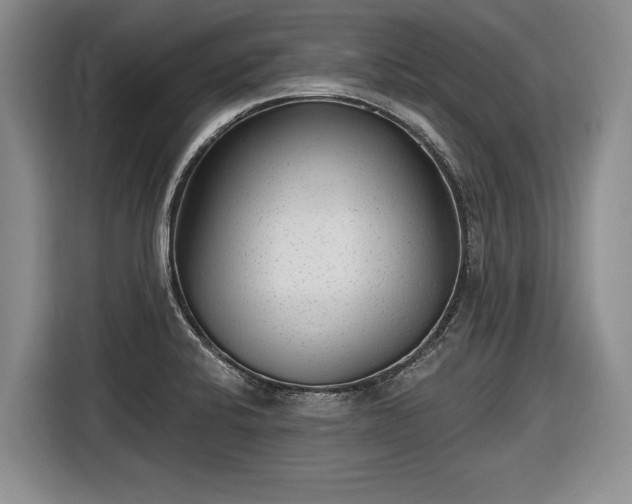 X0000116631424200912181316