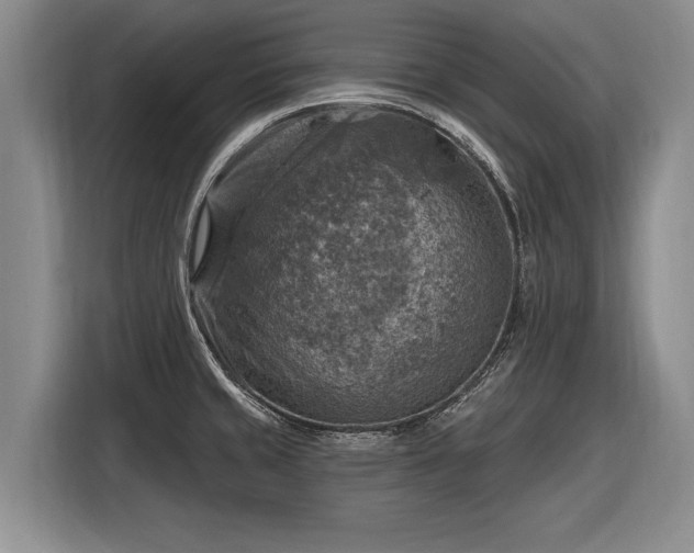 X0000116631429200912181316