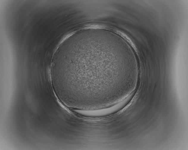 X0000116631433200912181316