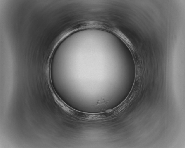 X0000116631439200912181316